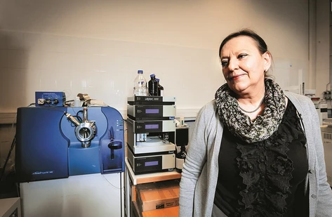 Vše je o ceně. Potraviny jsou vesměs nezávadné, hodnotí expertka