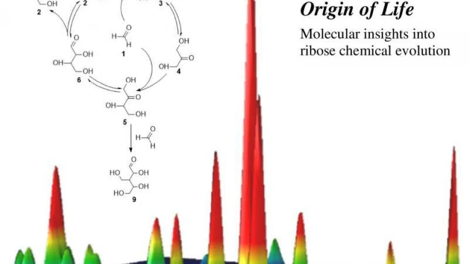 Český rozhlas: CNRS: Ribóza je základním stavebním kamenem ribonukleové kyseliny (RNA), která je klíčovou chemickou sloučeninou pro pozemský život