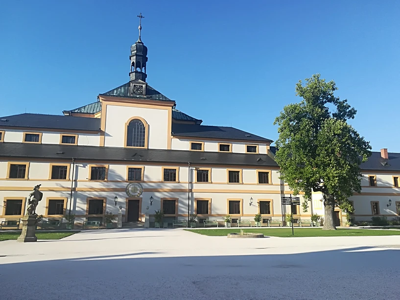 RADANAL/VITATOX: Kuks